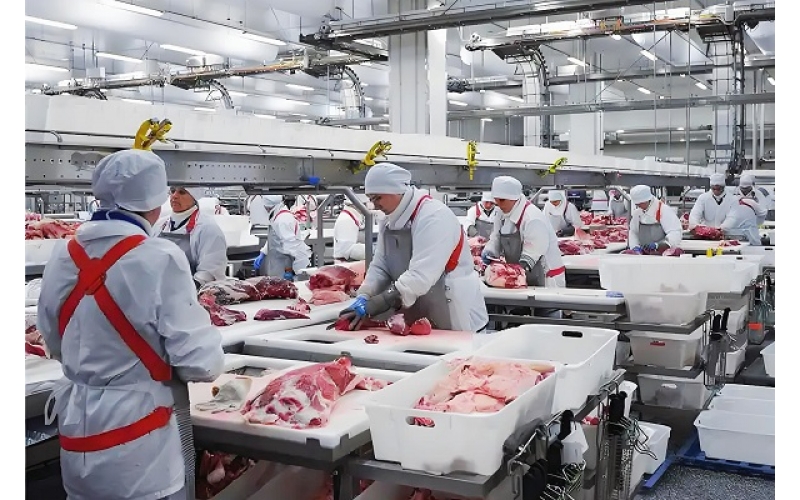 ForEarth Series Product for Meat Processing Plant
